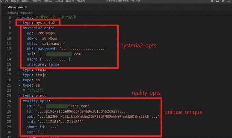 
Clash Meta 配置文件 Hysteria2 与 VLESS Reality 节点代码配置